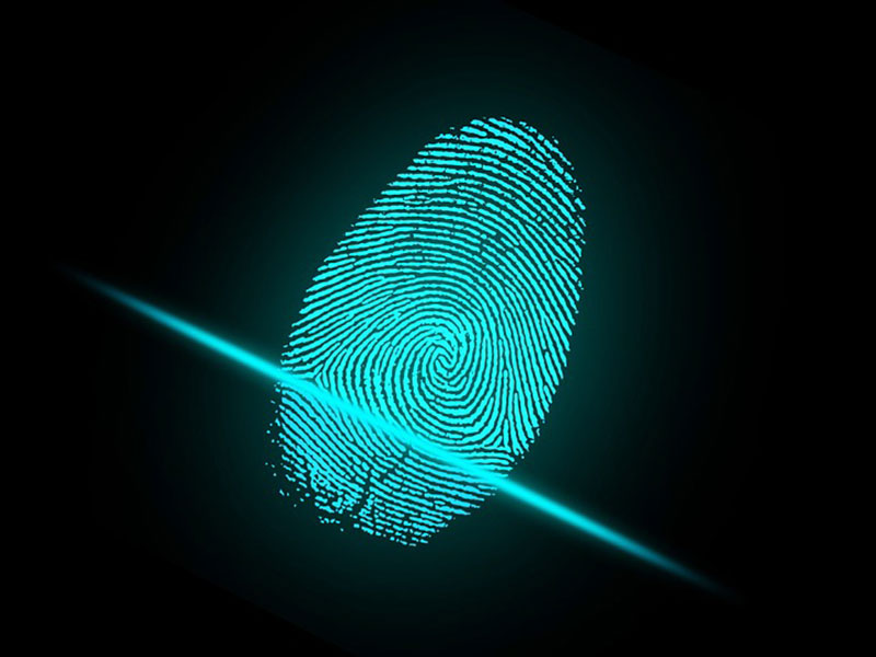 Sistema de Seguridad